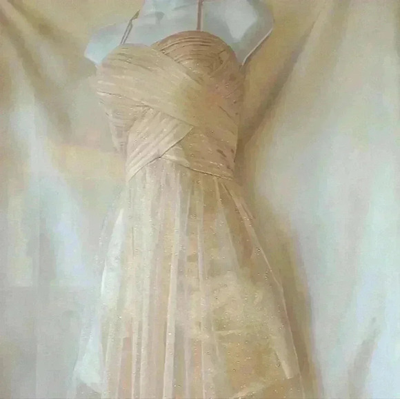 LAURA PETITES  CHAMPAGNE GLITTER MININ DRESS SIZE 10 - Picture 2 of 9